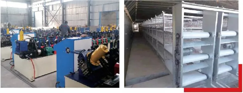 Broiler Chicken House Waterline Automatic Flat Broiler Aquaculture Waterline Equipment